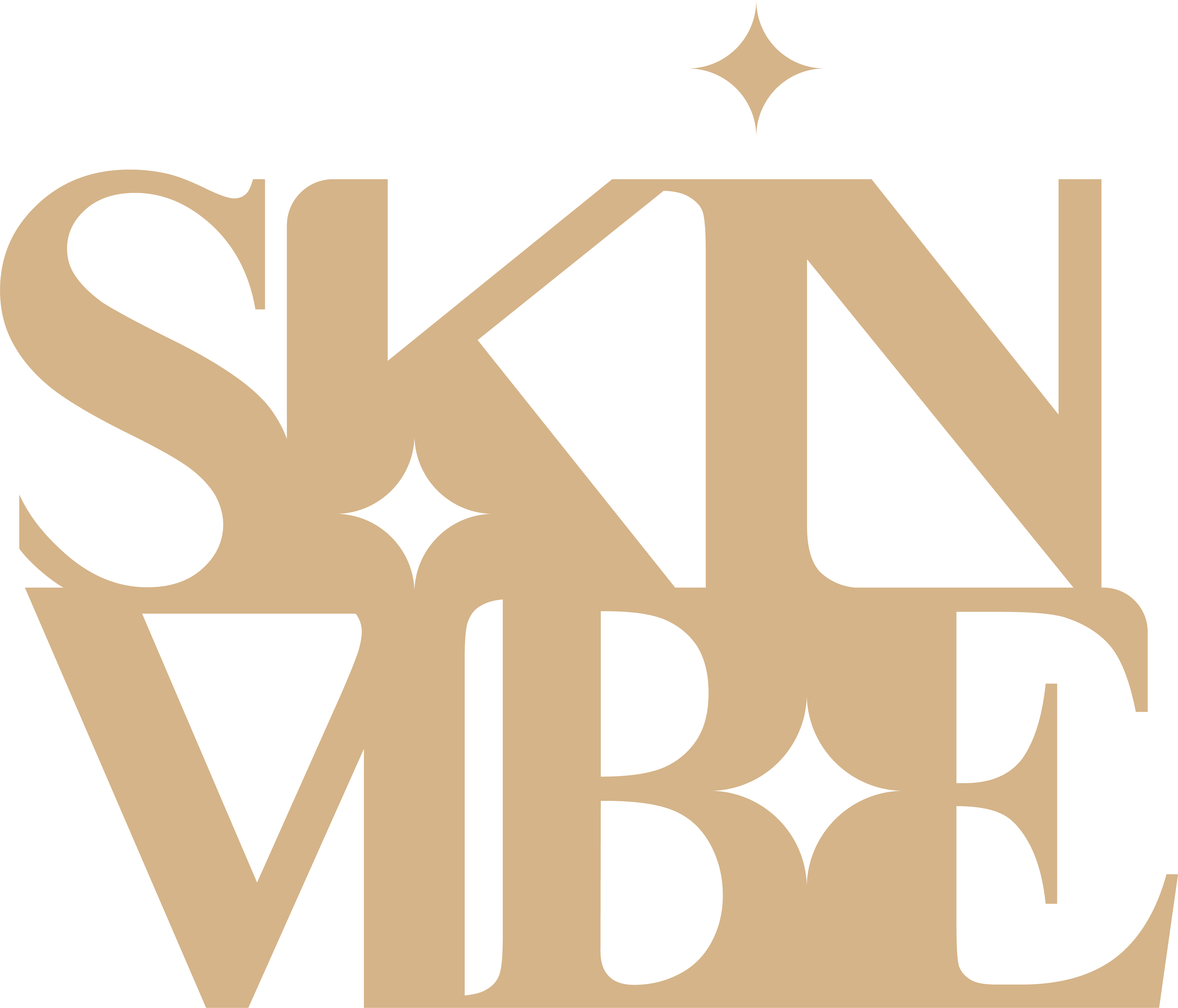 SkinVibe - Beauty brand using Checkout Essentials